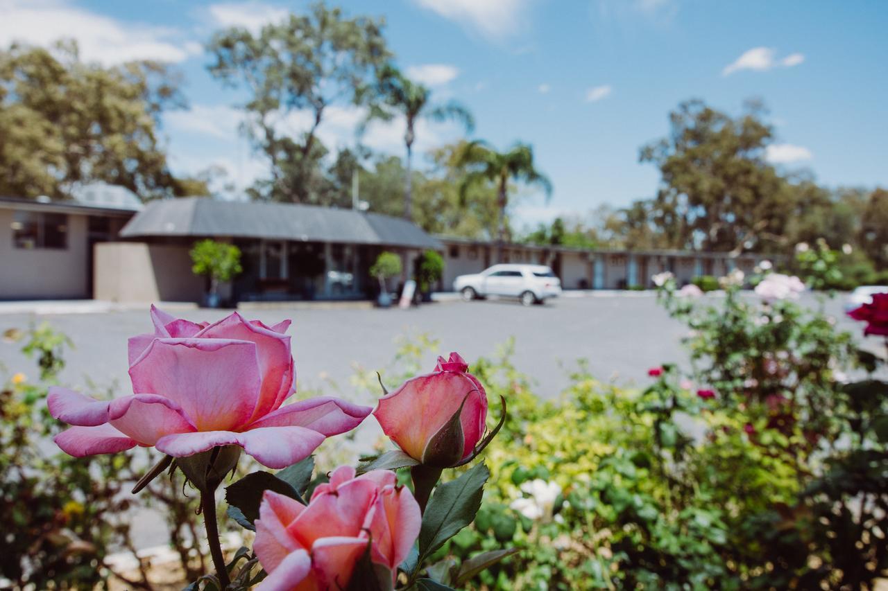 Artesian Spa Motel Moree Exterior photo